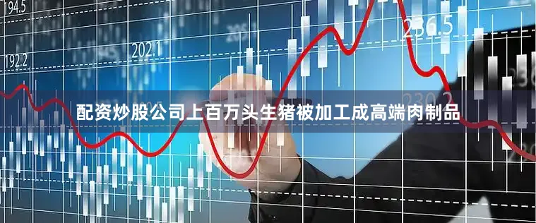 配资炒股公司上百万头生猪被加工成高端肉制品