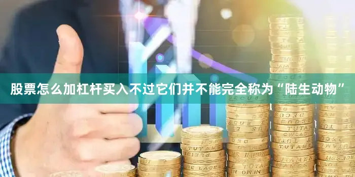 股票怎么加杠杆买入不过它们并不能完全称为“陆生动物”